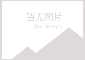 麻山区倘若舞蹈有限公司